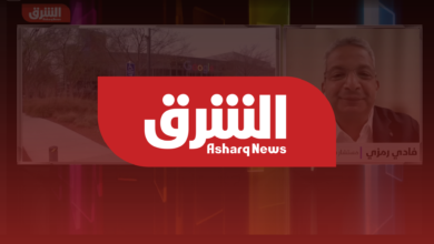 EU Fine Against Google: Fady Ramzy’s Analysis on Digital Advertising