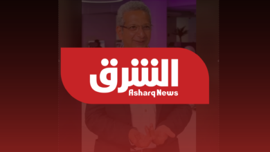 Social Media Influencer Income & Digital Money Laundering: Fady Ramzy’s Insights on Live Content Risks